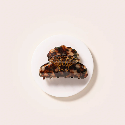 Belle pince coquillage Ambre