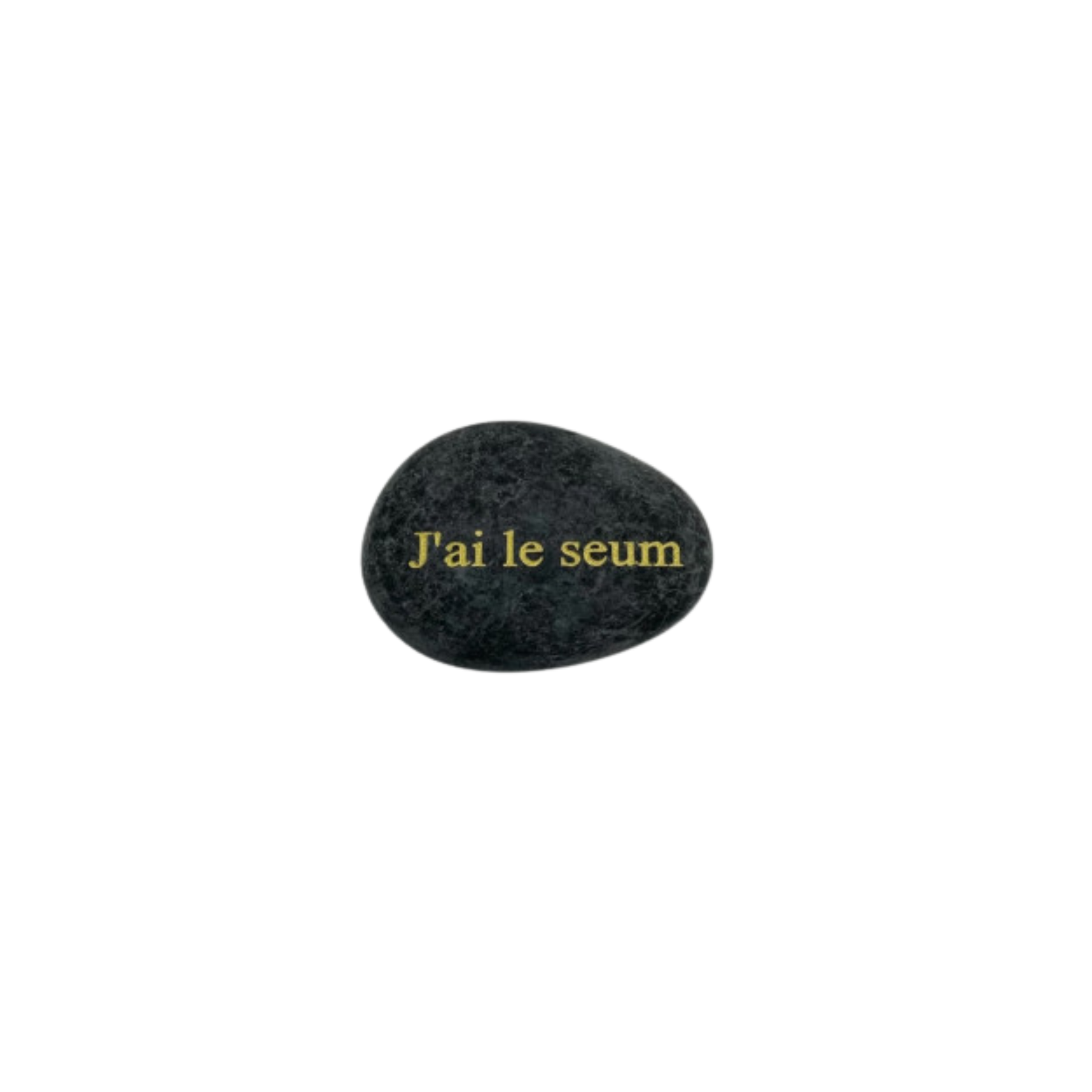 Galet J'ai le seum — Sophie et Ju