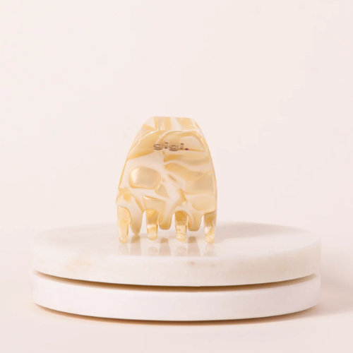 Mini pince Chantilly