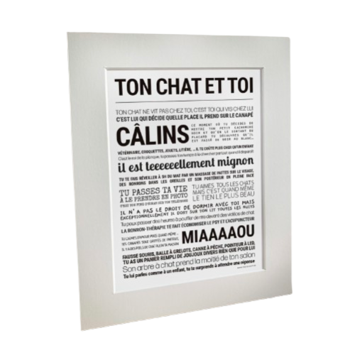 Affiche Ton chat et toi